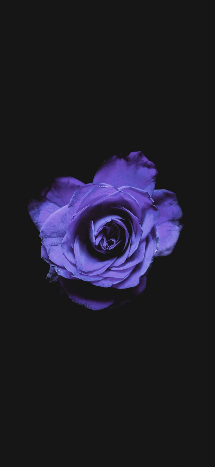 #flower