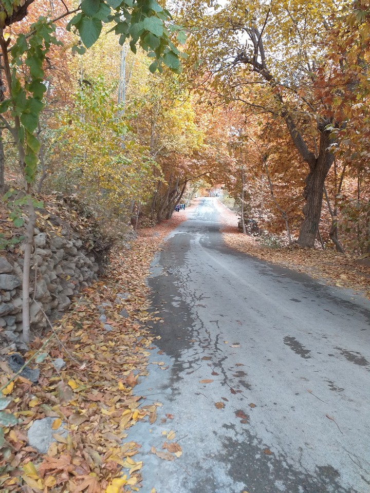 iran