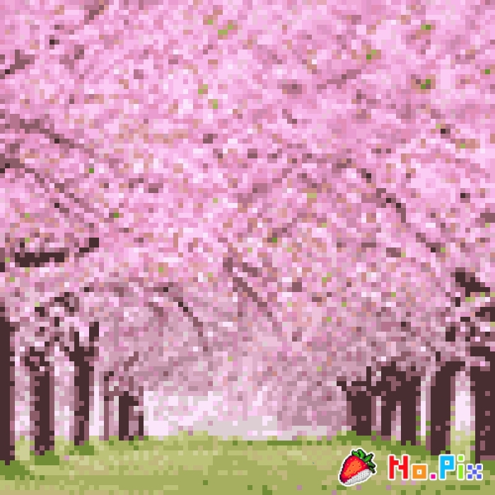 벚꽃