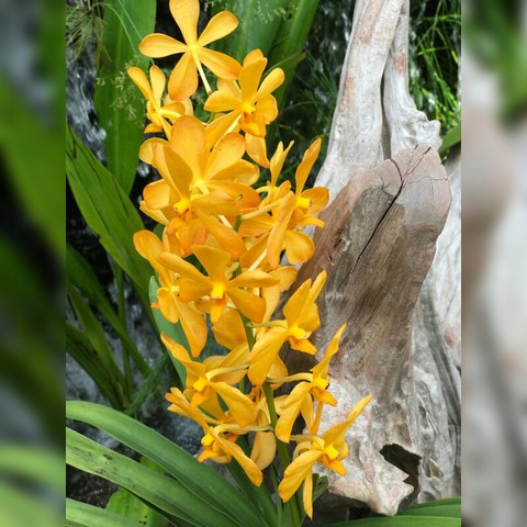 Botanical Garden