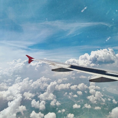 wing