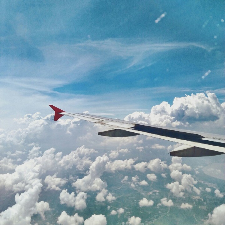wing