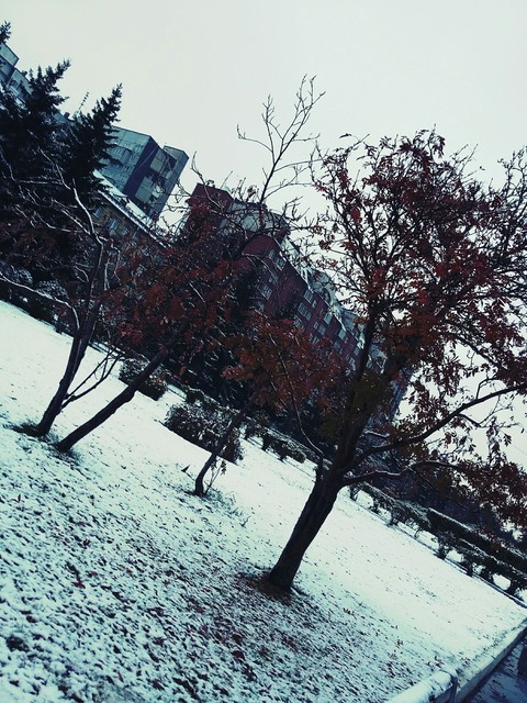 Winter