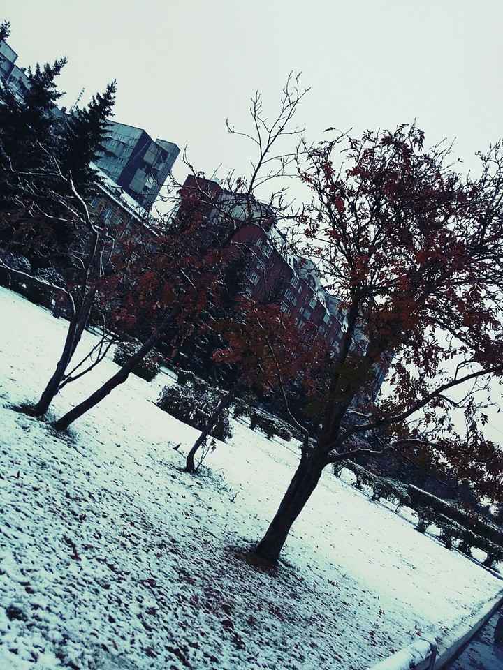 Winter