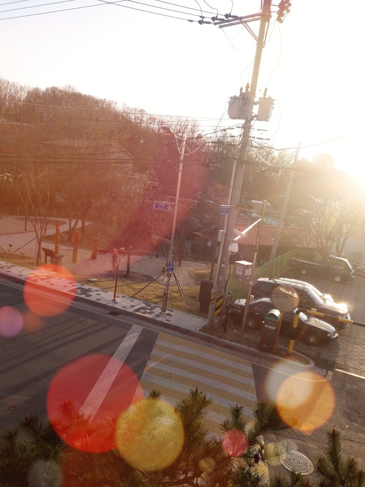 빛