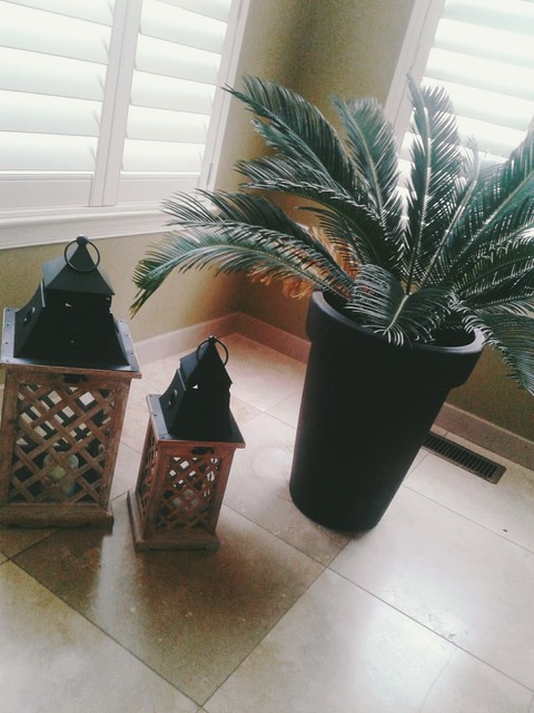 I love plants