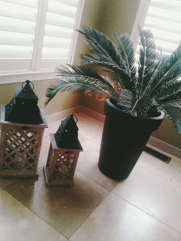 I love plants