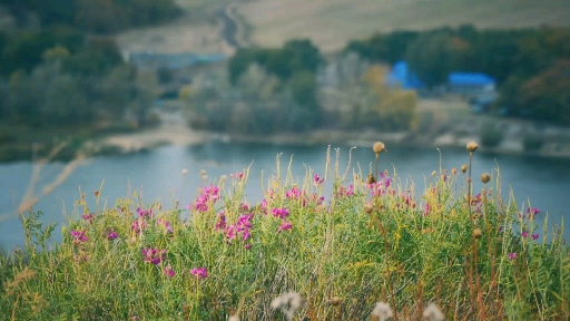 Russian nature
