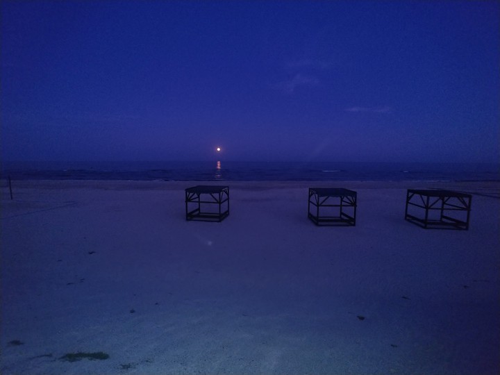 Sea