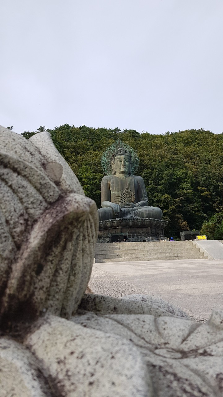 산과 바다