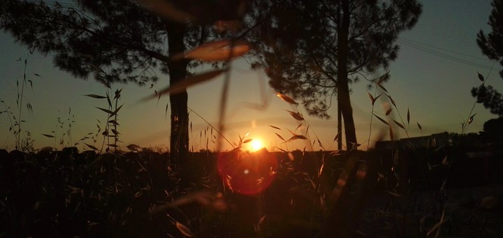 sunset2