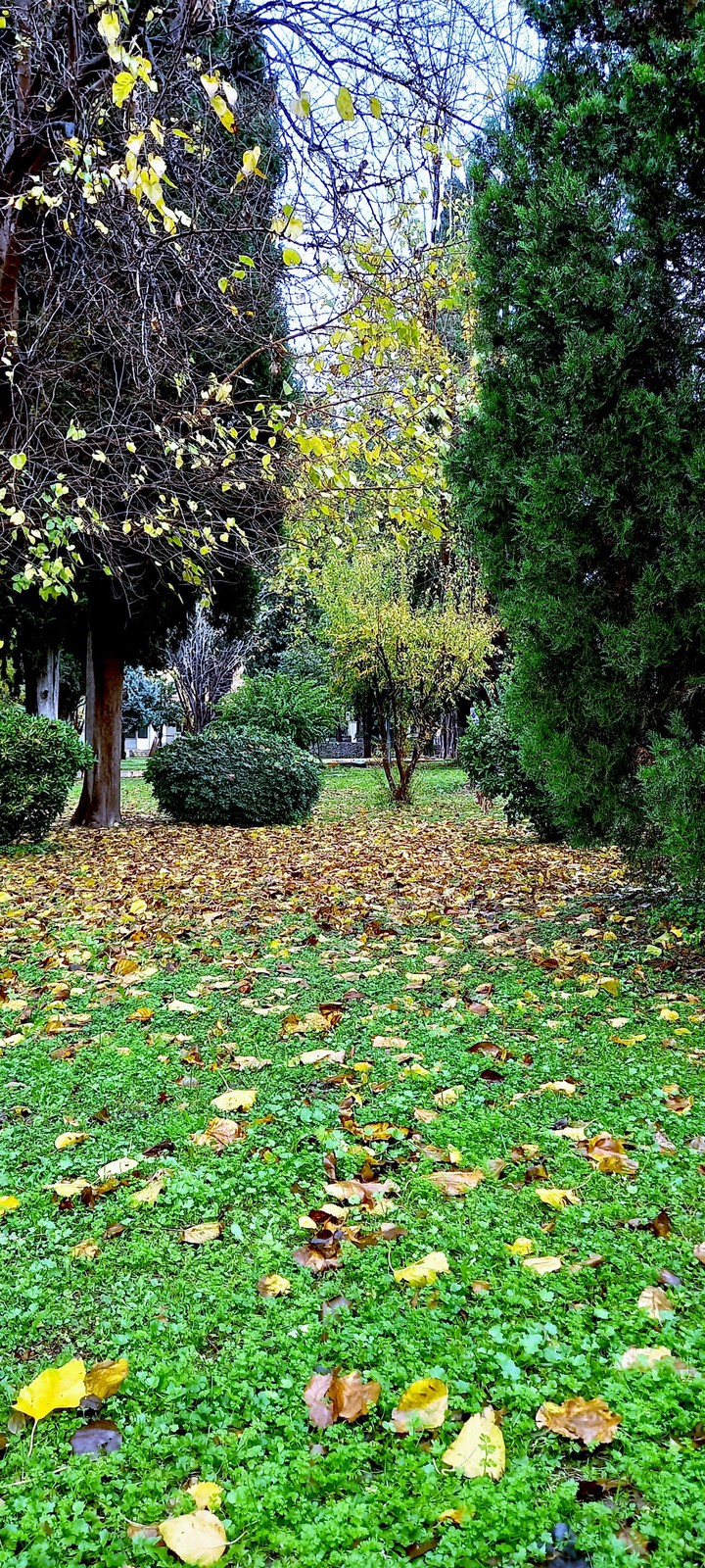 Gizli Bahçe