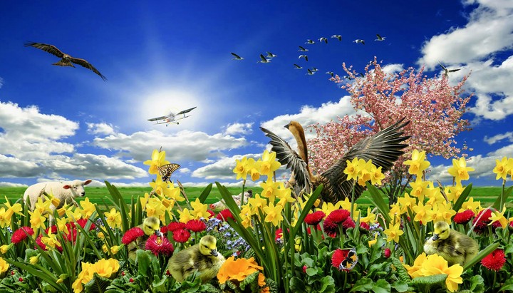 Primavera
