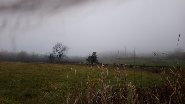 A stormy day in fall