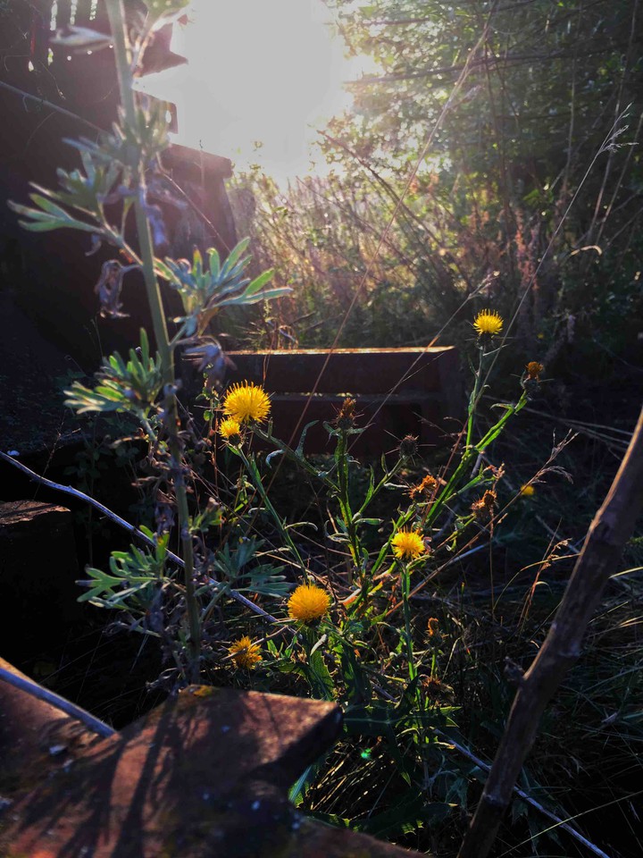по