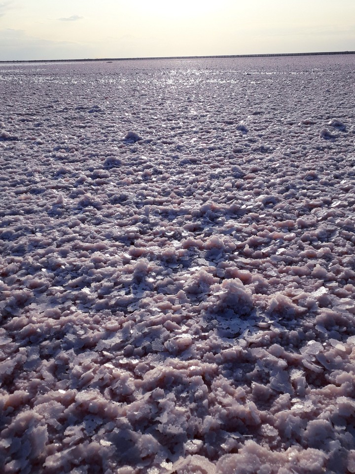 salt