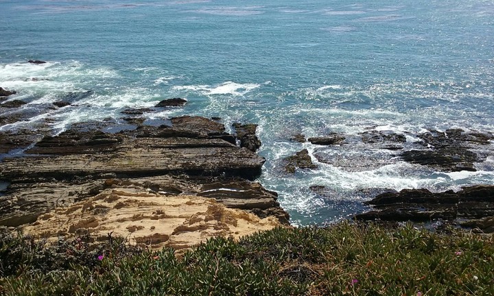 Rocky shore