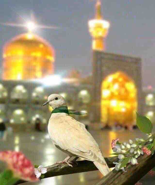 Karbala