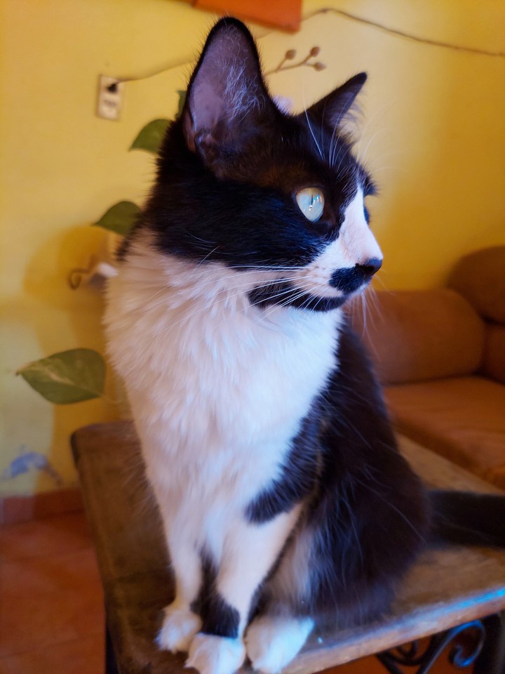 Luna