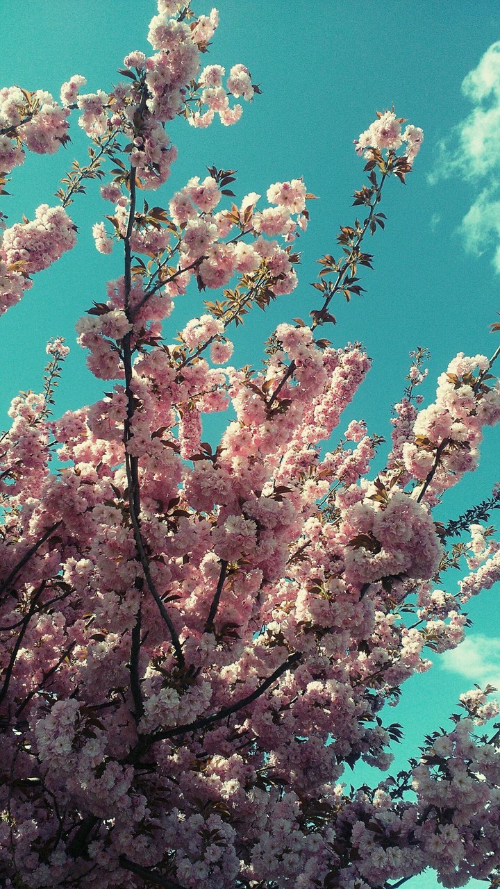 Spring in the air