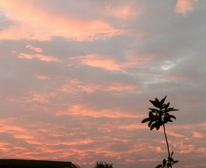 sun set