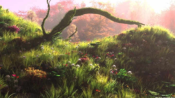Nature