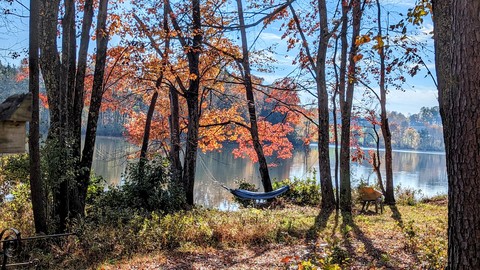 fonds d'écran lake, trunk