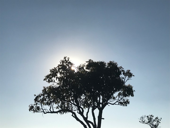 Sun "I am hiding"