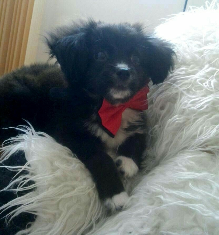 Cute