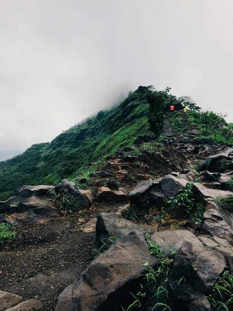 Adventurous