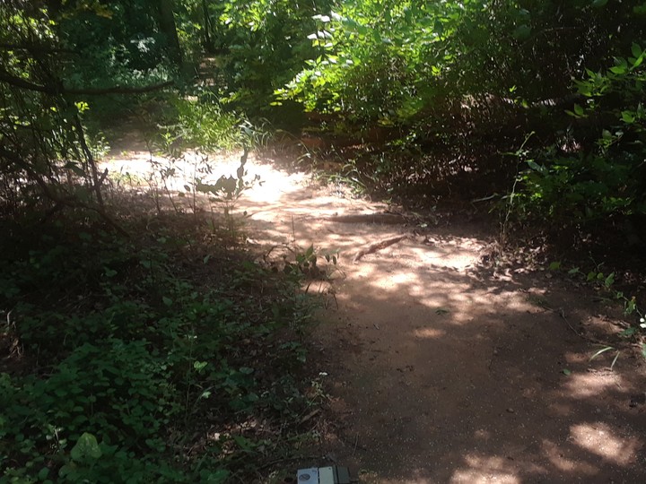 nature trail