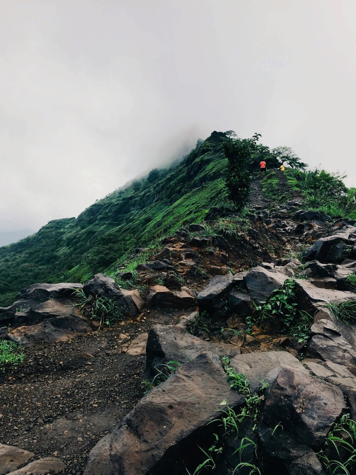 Adventurous