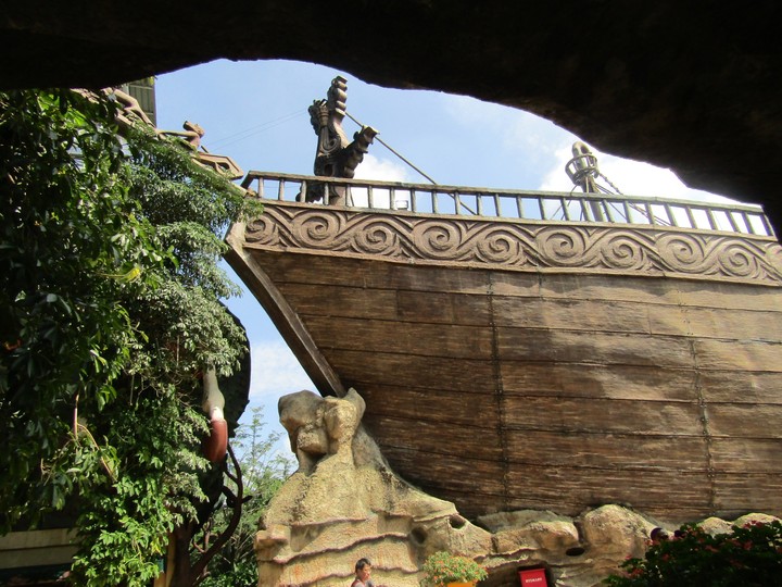 sheep on the jungle
