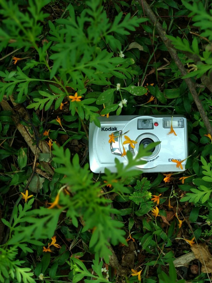Kodak camera