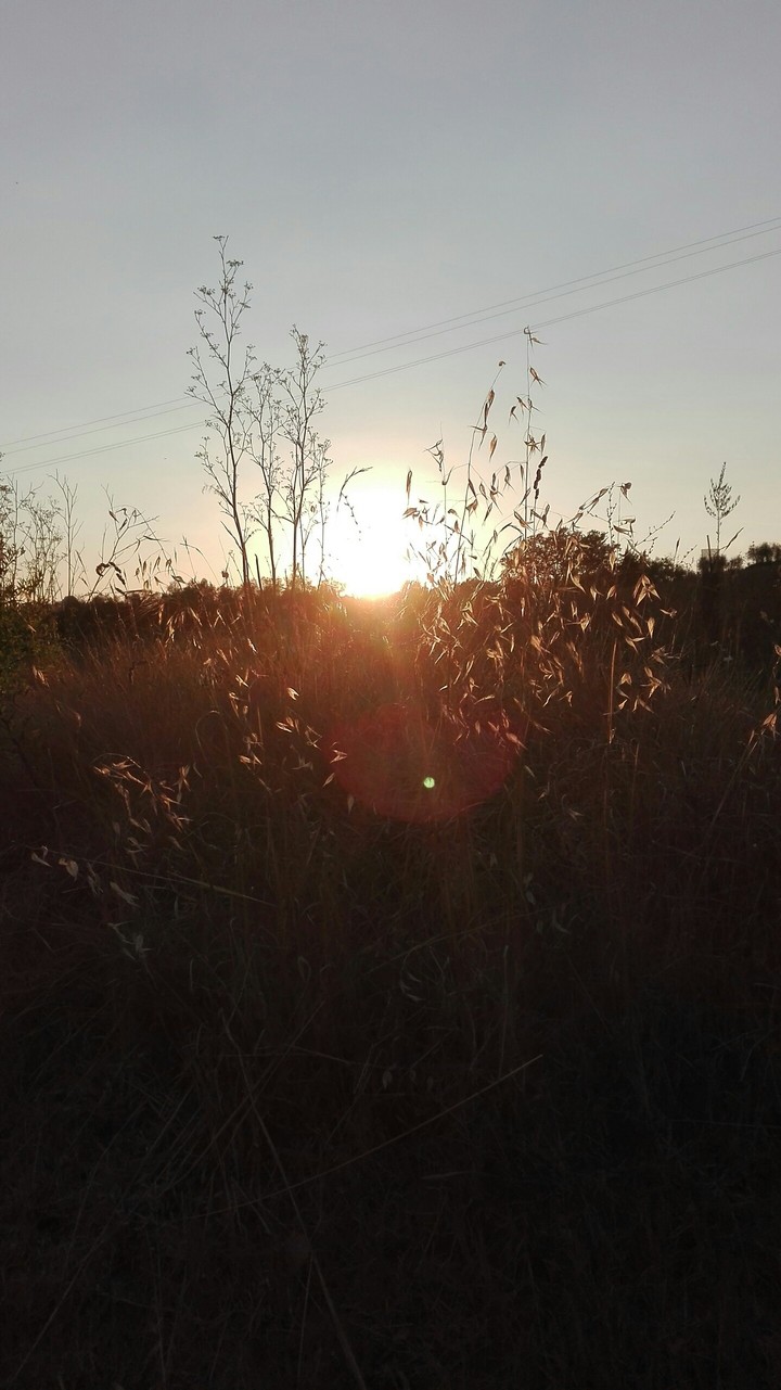 nature of sun