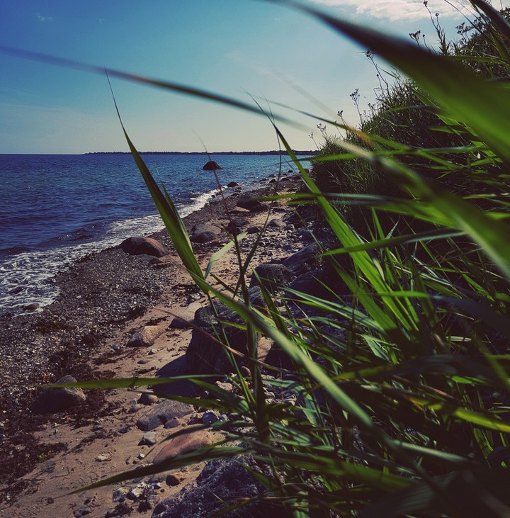 green by the sea