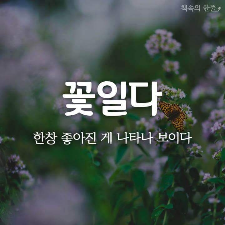 순우리말2