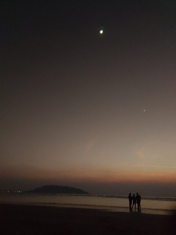 Beach Diaries