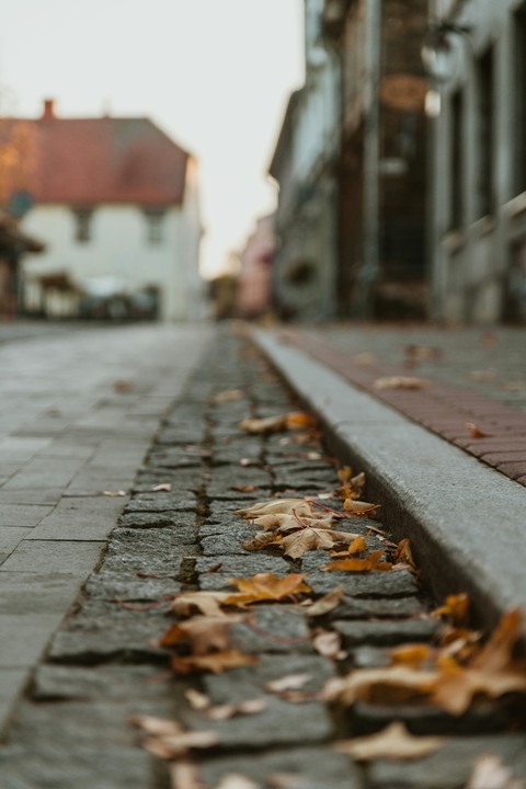 sidewalk, walkway वॉलपेपर