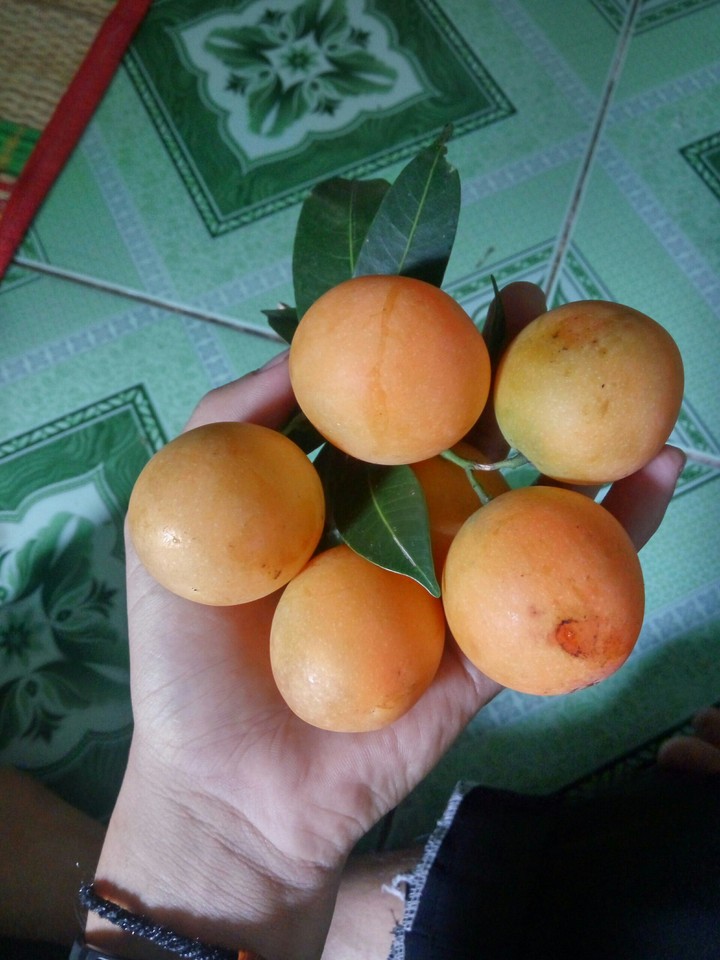 what is this?