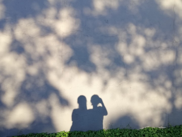 Shadows