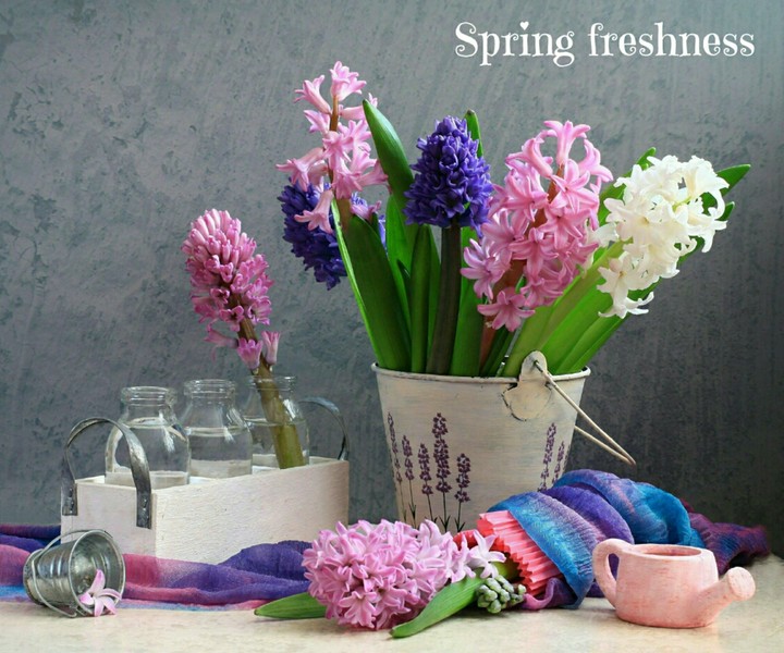 Spring freshness.