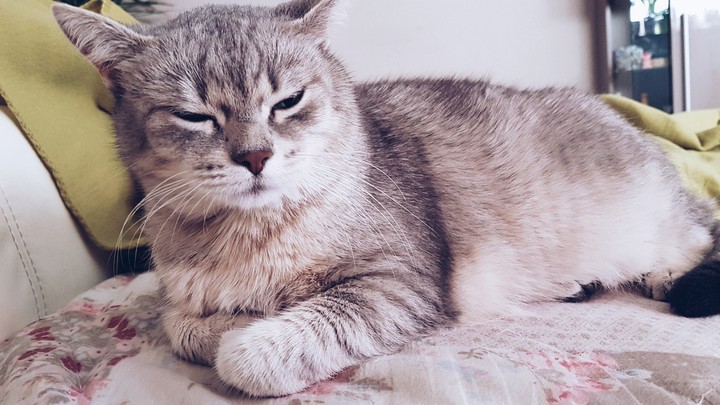 meine Prinzessin
