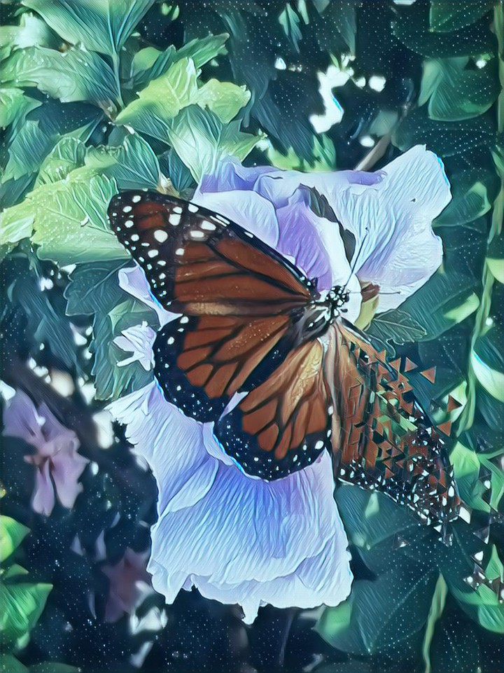 Amiga Mariposa