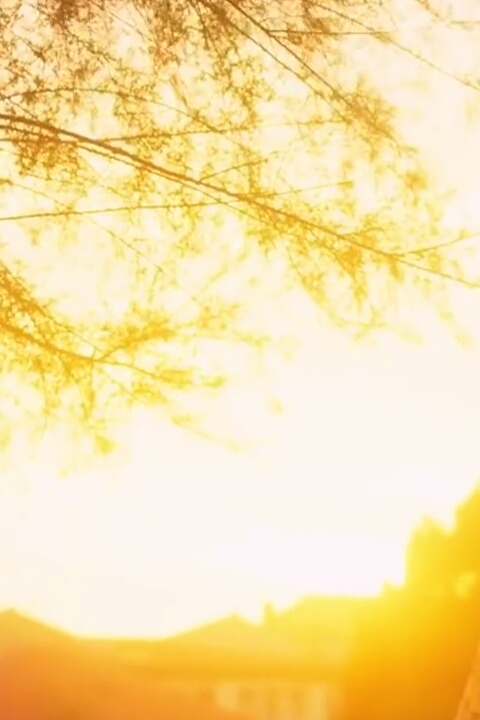 light