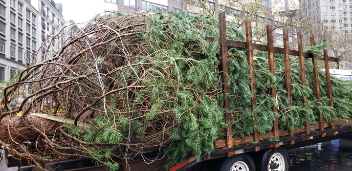 Christmas tree