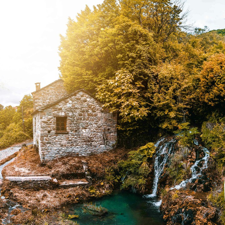 Nature