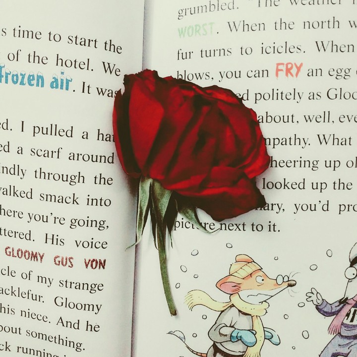Rose ❤