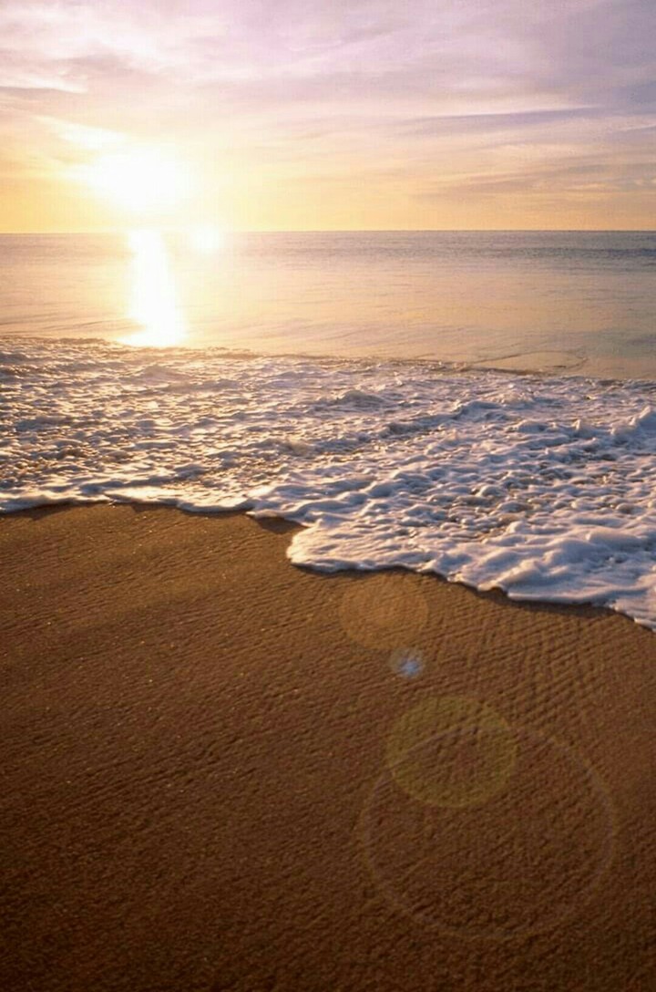 Sea