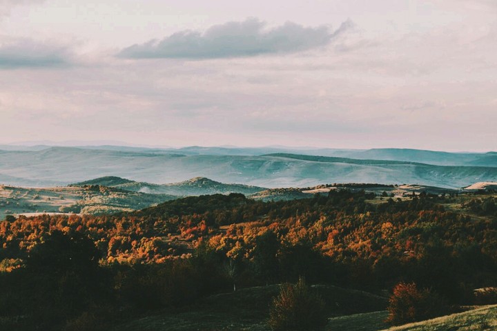 Nature